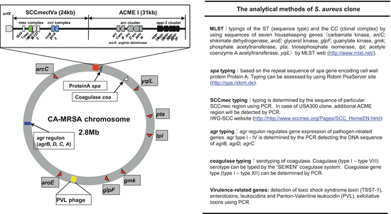 A316716_1_En_18_Fig2_HTML.gif