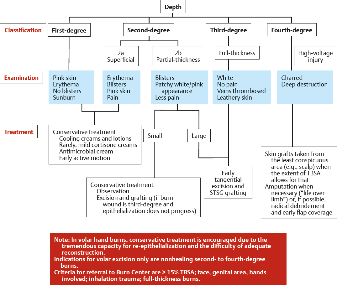 Principles Of Treatment And Management | Plastic Surgery Key