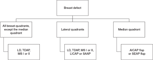 Local Flaps For Partial Mastectomy Defects | Plastic Surgery Key