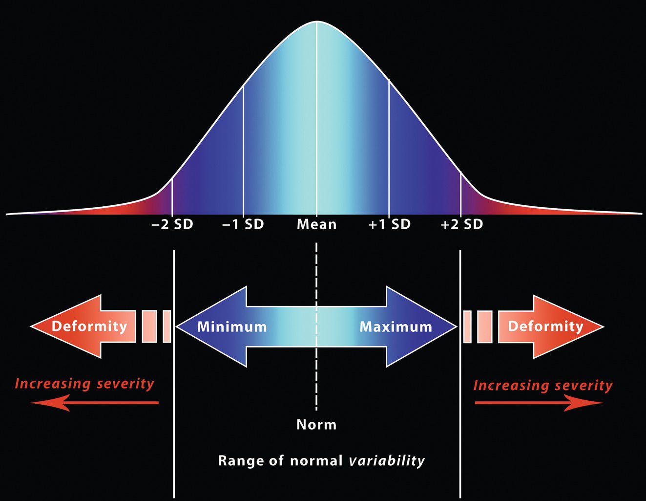 A graph depicting a normal distribution curve, highlighting standard deviations (SD) and the mean. Arrows indicate ranges of deformity severity, from minimum to maximum variability.
