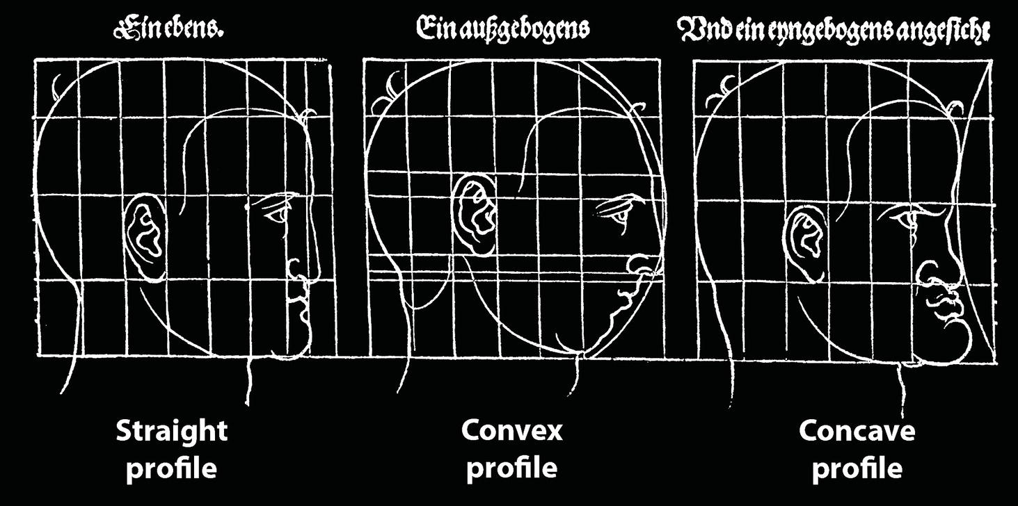 Three profile diagrams: Straight profile on the left, Convex profile in the center, and Concave profile on the right. Each profile is labeled with corresponding terms above.