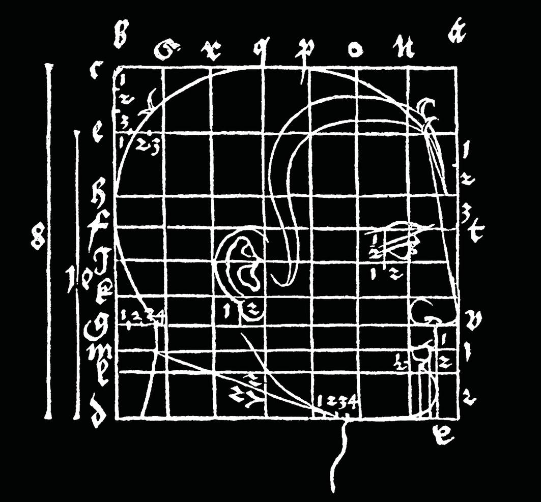 A diagram of a side profile of a head, overlaid with a grid and numerical annotations. Annotations highlight key facial features, including the ear and other reference points.