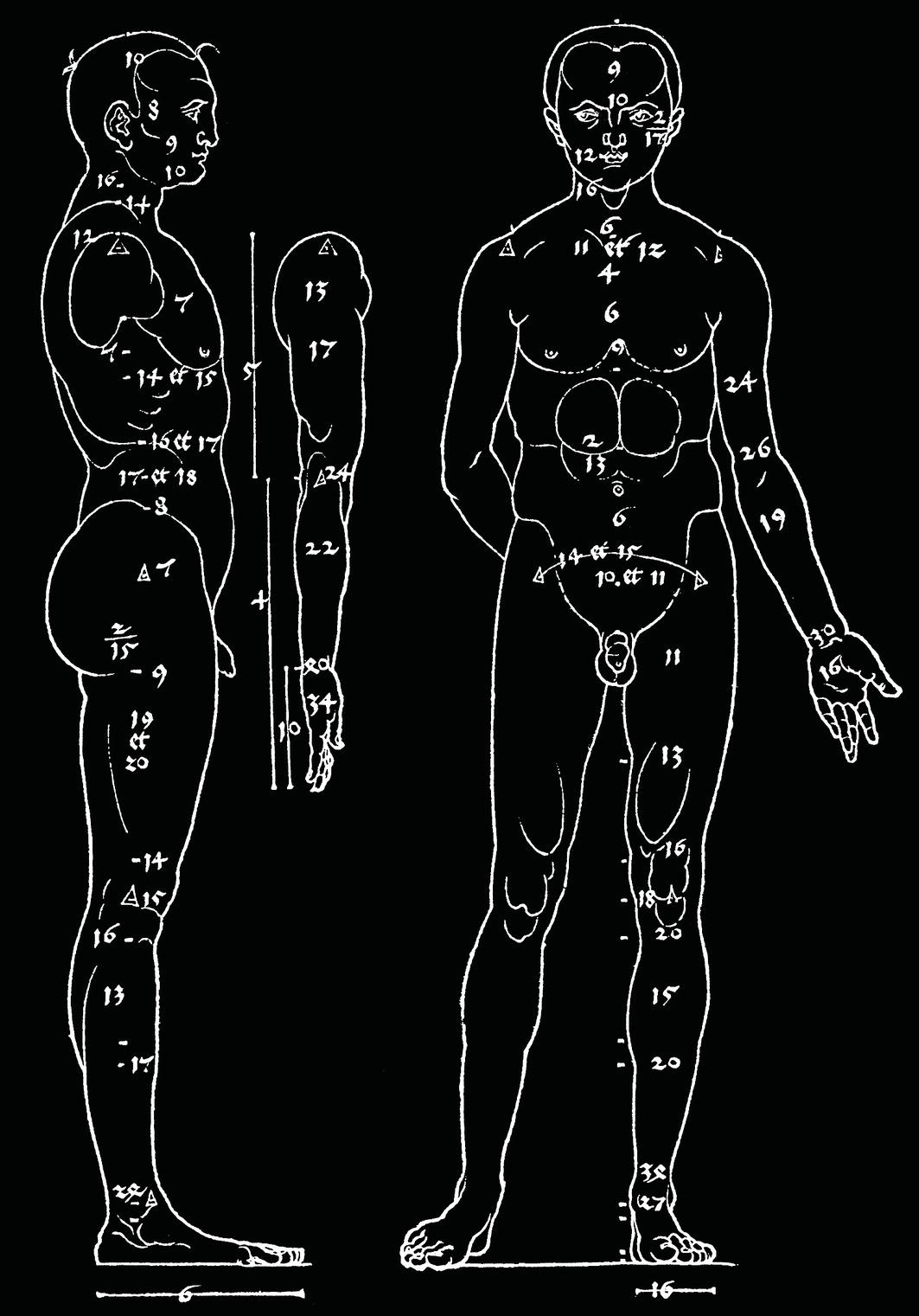 Two diagrams of a male figure, viewed from the side and front, featuring numbered anatomical references.