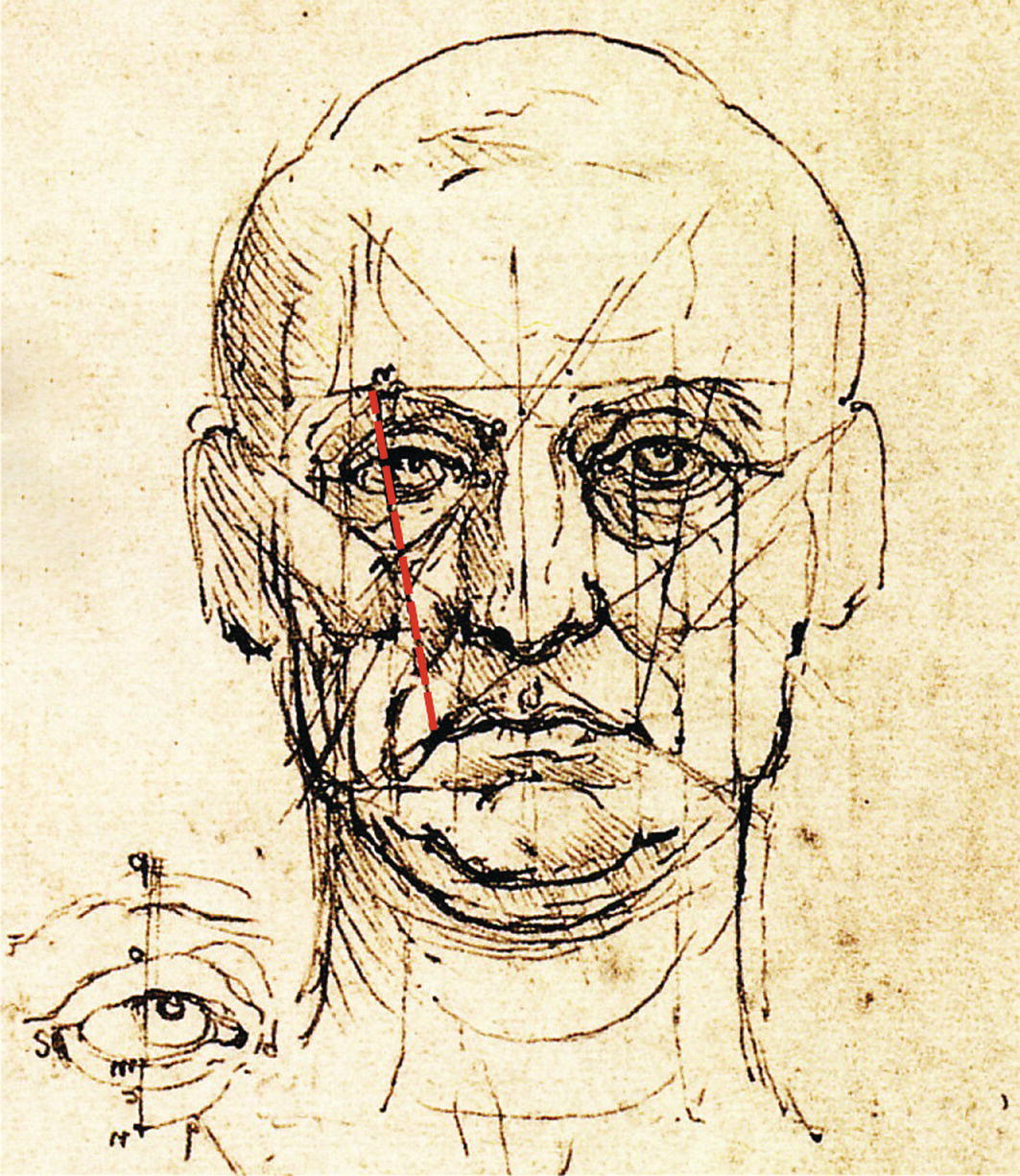 A diagram of a male face with geometric lines and measurements with a red line indicates a specific angle related to the eyes and mouth.