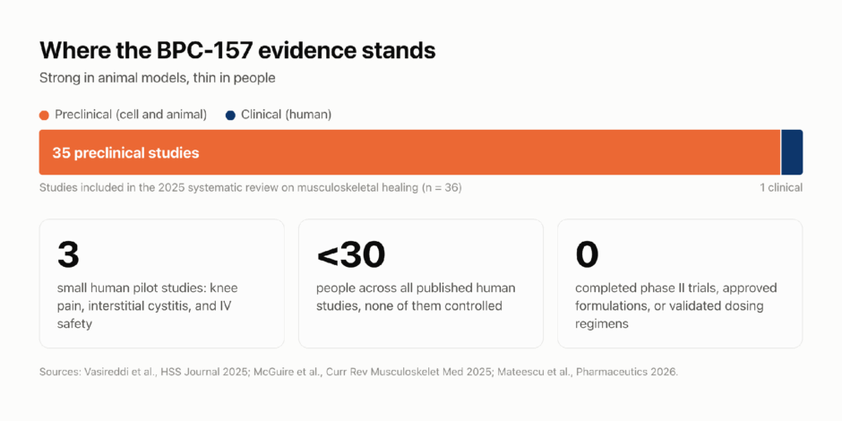 Chart showing 35 preclinical and 1 clinical study in a 2025 BPC-157 systematic review, with 3 human pilot studies, fewer than 30 people studied, and 0 completed phase II trials